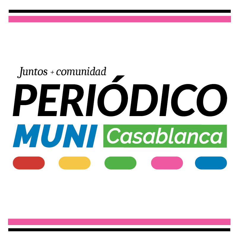 Periodico municipal banner web